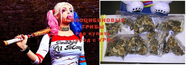 Альфа ПВП Медвежьегорск